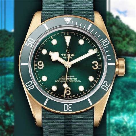 tudor blackbay green|tudor heritage black bay price.